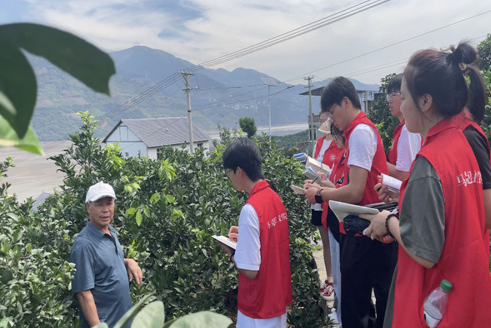 一堂开在田间地头的“大思政课”